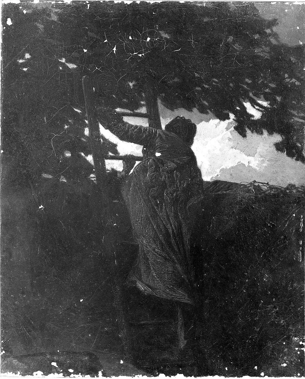 Pietro - scena di vita campestre, Museo Civico, Pescia